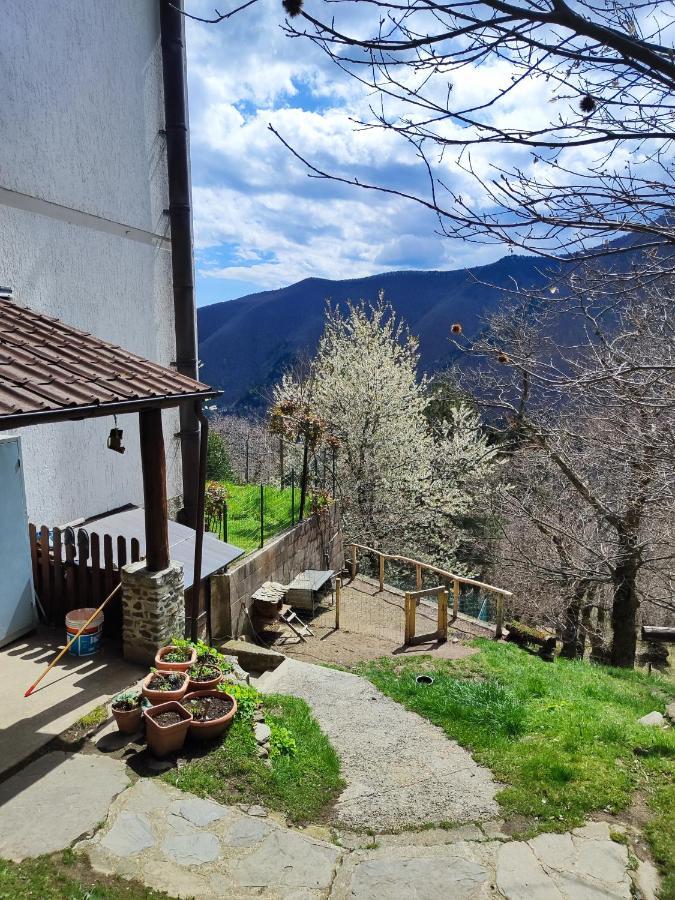 Albergo Ristorante La Selva Orsigna Luaran gambar