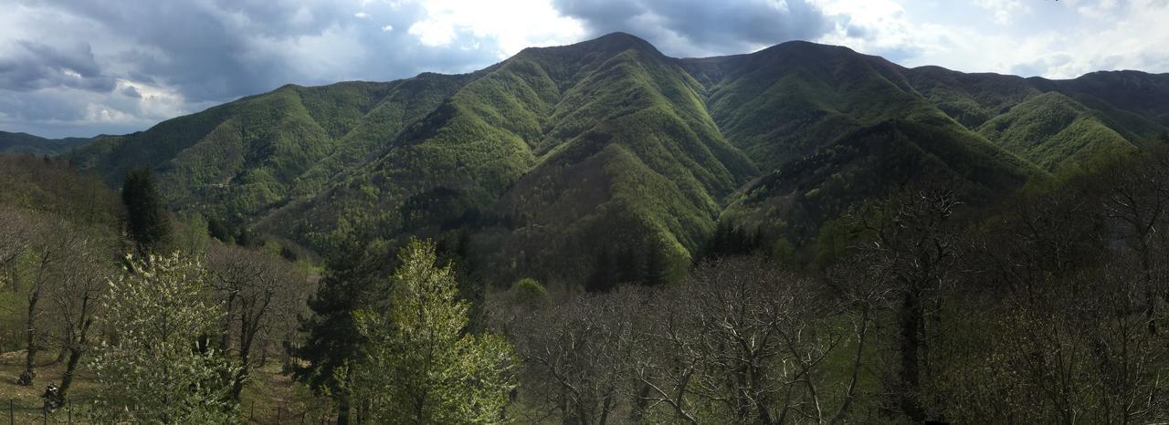 Albergo Ristorante La Selva Orsigna Luaran gambar